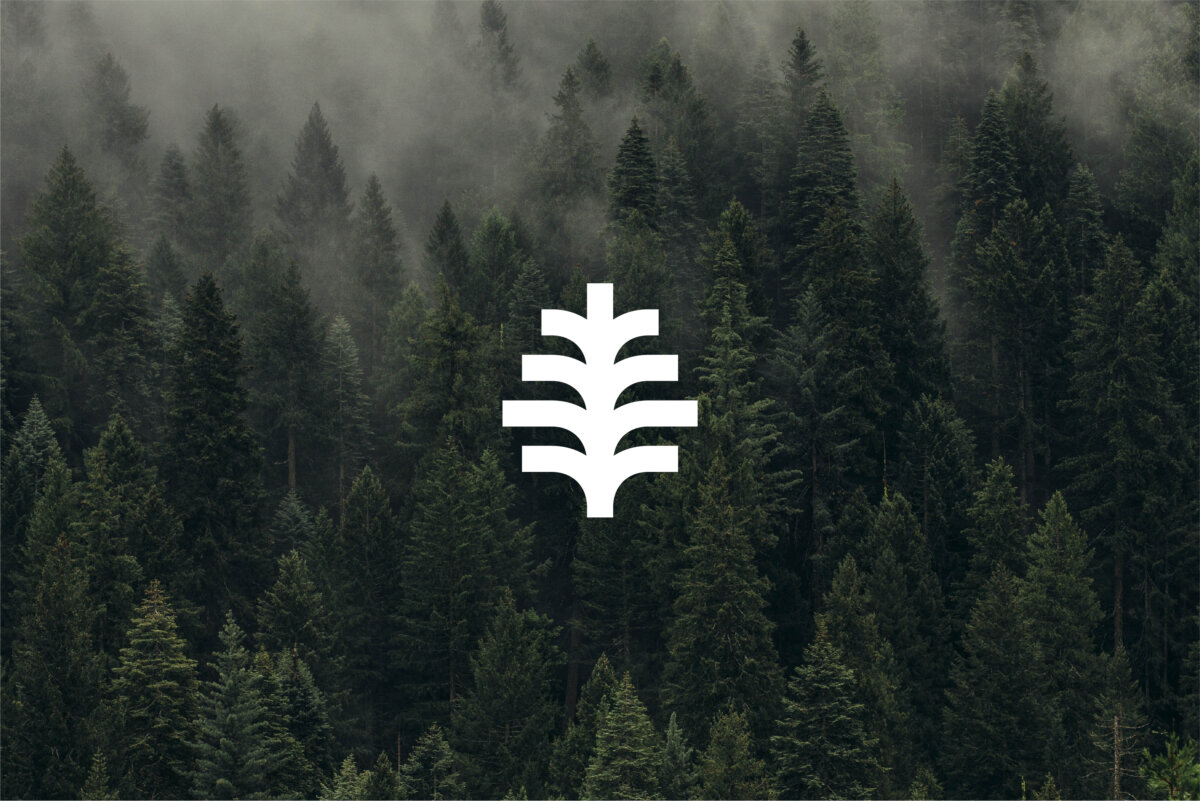 Keeping Forests - T. Sieting