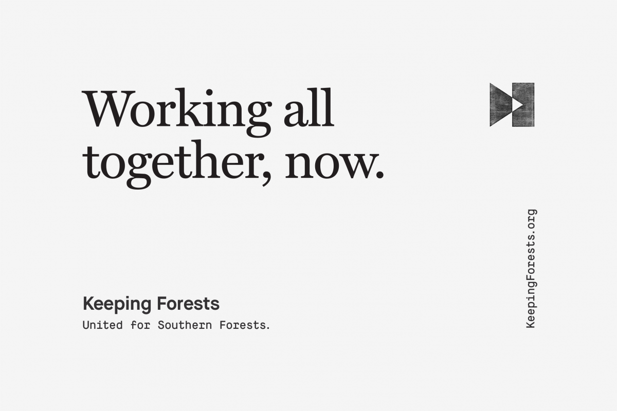 Keeping Forests - T. Sieting